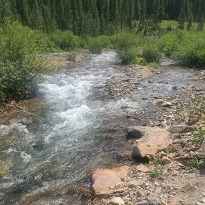 Meet your Posher, Blair